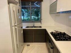 Radiance @ Bukit Timah (D21), Terrace #485923311